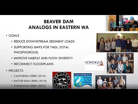 Beaver Dam Analogs Mimicking Nature’s Ecosystem Engineer To Improve Riverine Ecosystem (Part 2)