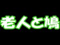 鳩にパンをあげる老人