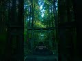 Japan’s Most Mystic Shrine ✨ | Kamishimi Kumanoza
