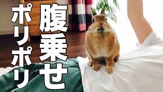 人間テーブルになってみた！ #464