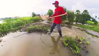 Remove Floating Plants Clogged Massive Dam Drain Water By Hand So Hot by Clean  Daily12M 43,431 views 1 month ago 10 minutes, 26 seconds