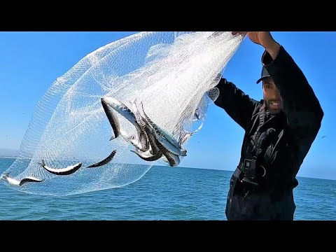 How to INSTANTLY Freeze Fish Rock Hard!!