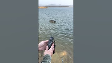 Actor basic-compass calibration tips