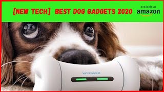 [New Tech] Best Dog Gadgets 2020 | Amazon Must Haves