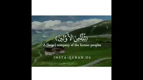 تلاوه مريحه.💛