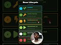 Spring Bean Lifecycle Explained #java #javainterview #shorts