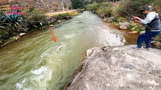Pesca de GRANDES TRUCHAS en la cordillera de los Andes. // This is how you fish trout.