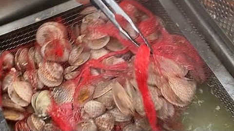 A Northeast Ohio Clam Bake