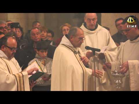 El Monestir de Poblet estrena el nou orgue, pioner a l'estat