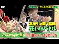 『マツコの知らない世界』11/10(火) 花いけをして学校生活が180度激変!? 花いけ男子の華麗な技とは!!【TBS】