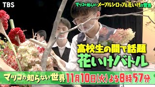 『マツコの知らない世界』11/10(火) 花いけをして学校生活が180度激変!? 花いけ男子の華麗な技とは!!【TBS】