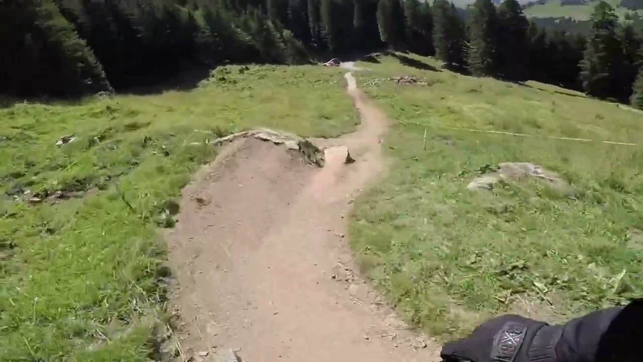 Adelboden Höchst Trail 2022