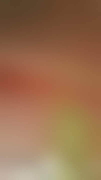 story' wa vs angkot desa..