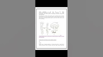 ignou ASSIGNMENT Course Code: BBYCT-131Assignment Code: BBYCT-131/TMA/2022-2023#viralvideo