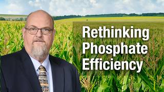 Rethinking Phosphate Efficiency