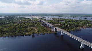 «В этом году Припять пересохнет». Что происходит с главной рекой Полесья?