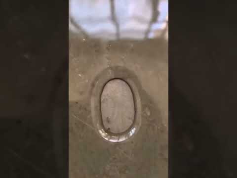 Till the very end, they never gave up on each other | InFact Tamil #shortsfeed #shorts