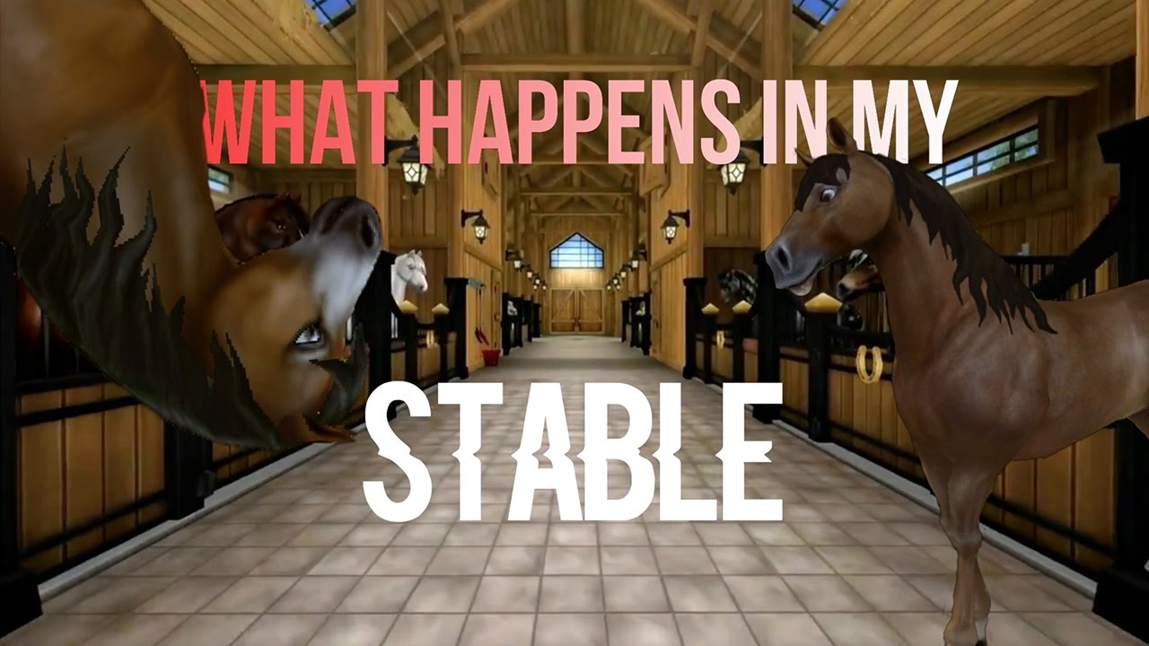 What happens in my stables | Star Stable - YouTube