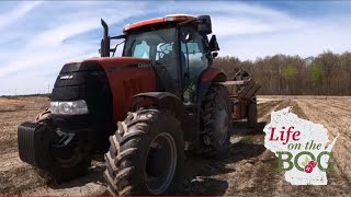How to Plant Cranberries