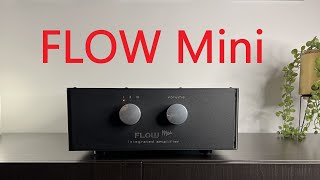 FLOW Mini Integrated Amp Review: Where the Hungarian High-End begins... #allegroaudio (w/Eng_Sub)