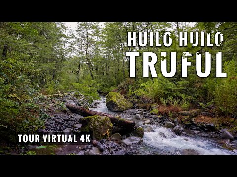 Huilo Huilo Sendero Truful: Trekking 5 Kms ??