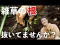 雑草の根は抜かない方が良い!?知って得する賢い付き合い方【自然農】