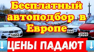 БЕСПЛАТНЫЙ Автоподбор в Европе !!! Цены ПАДАЮТ !!! от 2500$