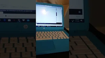 Tcp Gecko Tcp Gecko