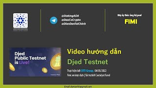 Video hướng dẫn Djed Testnet
