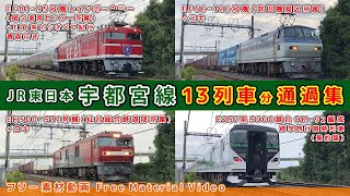 JR東日本/宇都宮線【その2】団体臨時カシオペア紀行EF81-95号機+E26系客車/EF66-126号機+コキ/修学旅行団体臨時E257系5000番台OM-92 他、通過集【鉄道撮影フリー素材61】