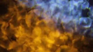 Slow Coast - Sugar Water Official Music Video