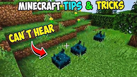 Best way to stop sculk sensor to detect you ......#shorts #viral #memes #minecraft #funny