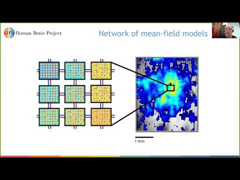 Brain Complexity and