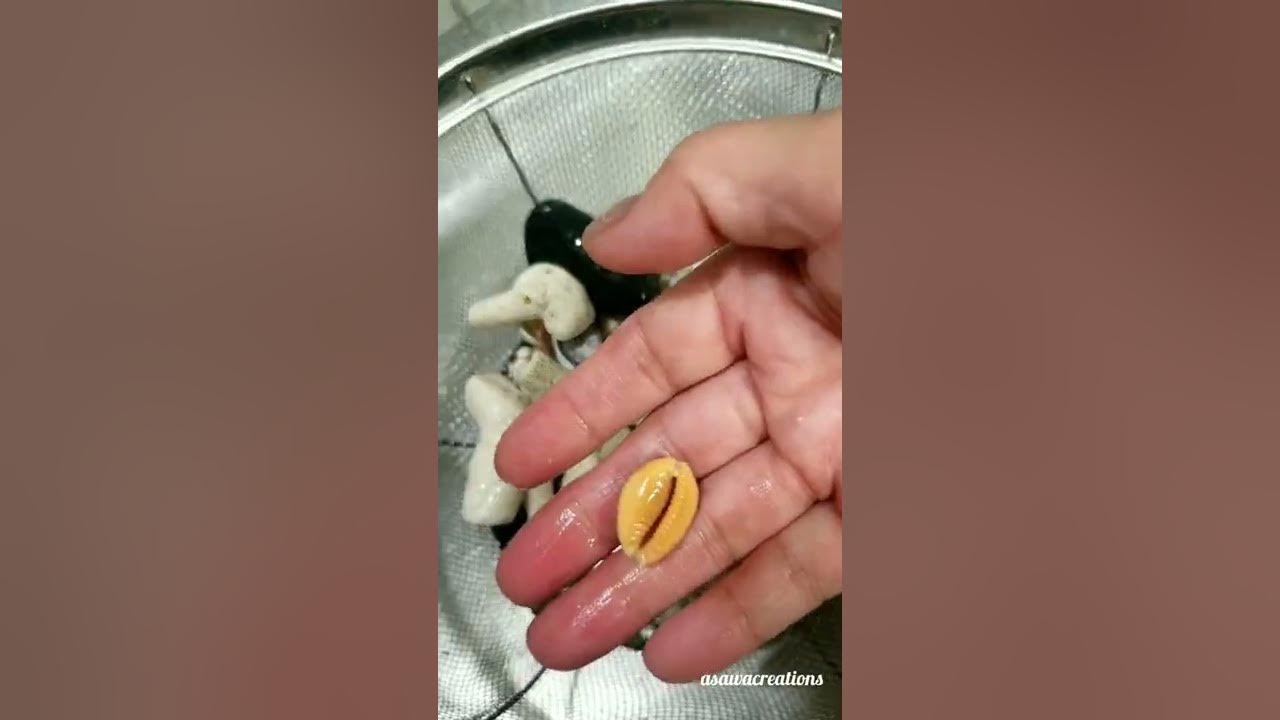 How to remove smell from seashells? YouTube