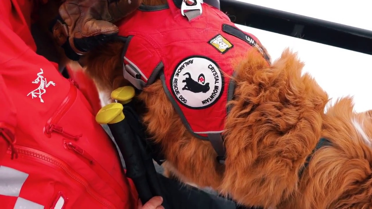 SheJumps Wild Skills Junior Ski Patrol at Crystal Mountain YouTube