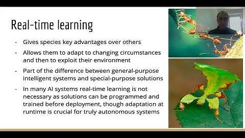 Autonomy through real-time learning and OpenNARS for Applications