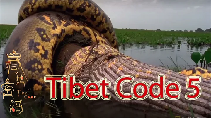 Tibet Code 5 - DayDayNews