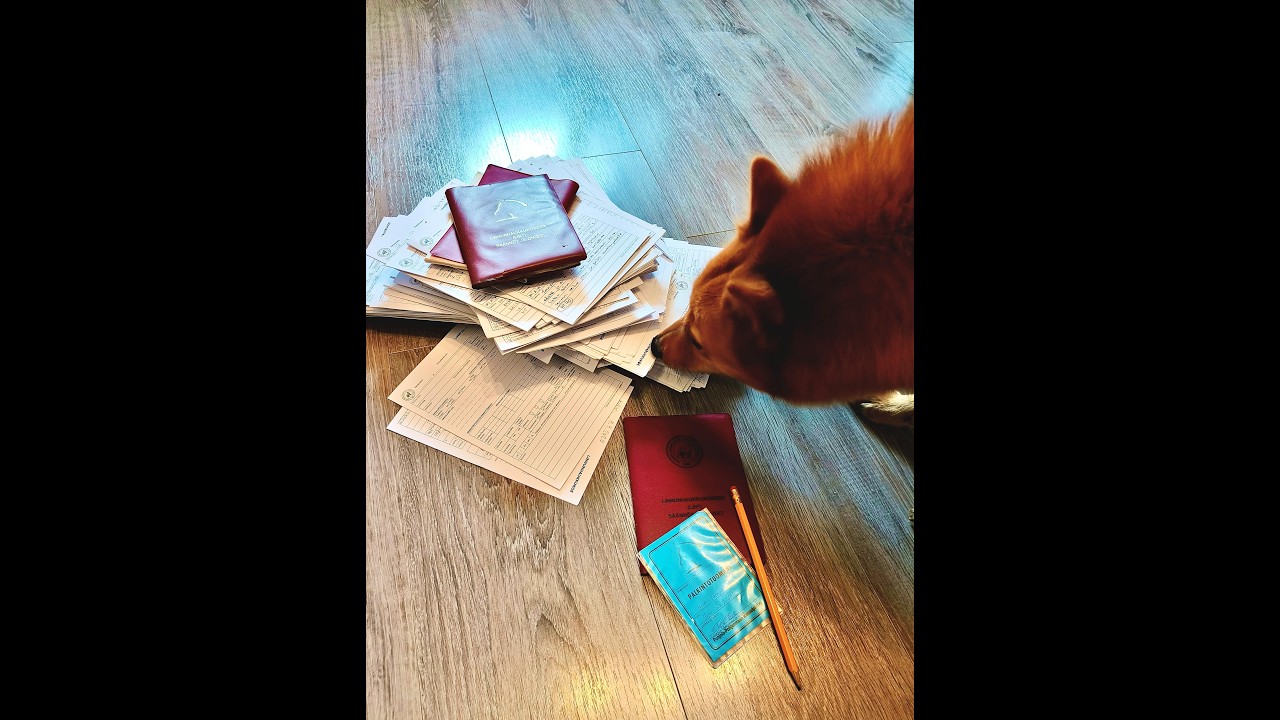 LINT palkintotuomariksi. Miten? Osa 1. Tällä eteenpäin.