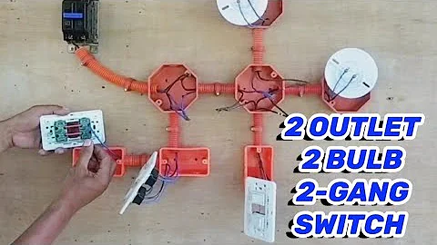 2 BULB CONTROLLED 2-GANG SWITCH WITH 2 OUTLET 