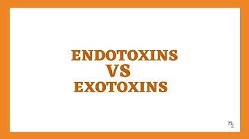 Endotoxins VS Exotoxins