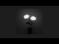 DNA Lia Marie Johnson Slowed Down DNA Lia Marie Johnson Slowed Down
