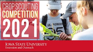 How to LEARN and HAVE FUN at a Crop Scouting Competition (2021)
