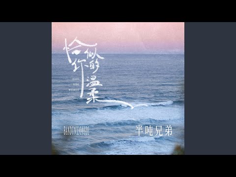 恰似你的温柔 (DJ九零版)