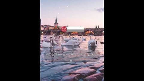 احمد العجمي     حالات واتس اب  قرآن كريم ❤❤240P 7