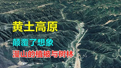 黄土高原，颠覆了想象，如今已经长满了大片森林 - 天天要闻