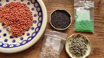 Wie wir auf dem Feld Saat aussäen - mit selbstgebautem Sägerät