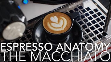 ESPRESSO ANATOMY - The Macchiato