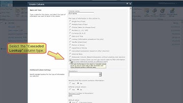 SharePoint Cascaded Lookup 3.0 from BoostSolutions
