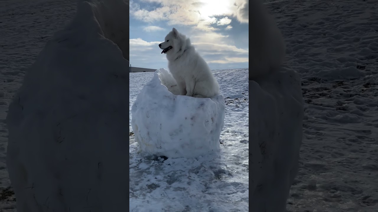 Cute Cloud on Land aka Land Cloud