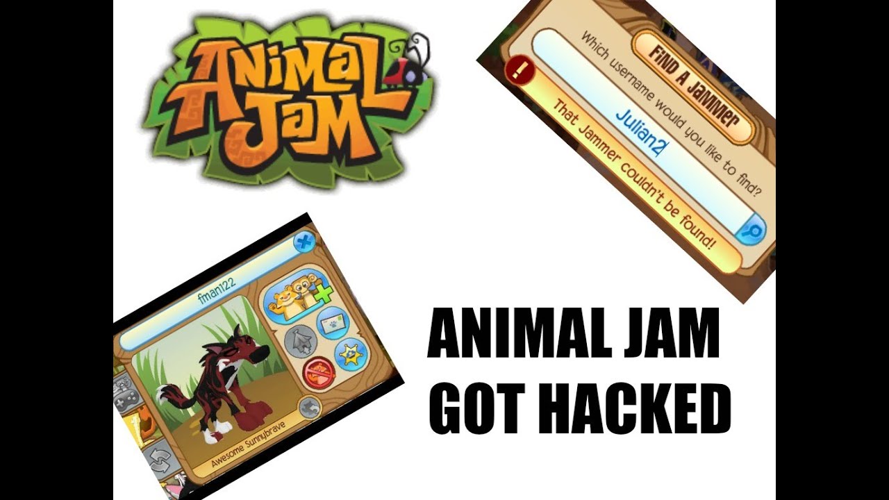 animal jam fman animal jam fman